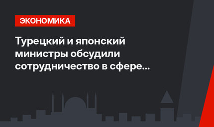 Турецкий и японский министры обсудили сотрудничество в сфере энергетики
