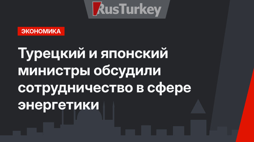 Турецкий и японский министры обсудили сотрудничество в сфере энергетики