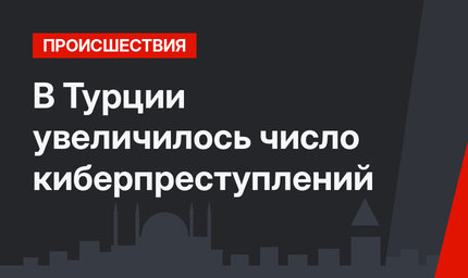 В Турции увеличилось число киберпреступлений