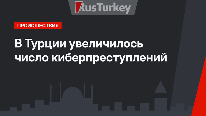 В Турции увеличилось число киберпреступлений