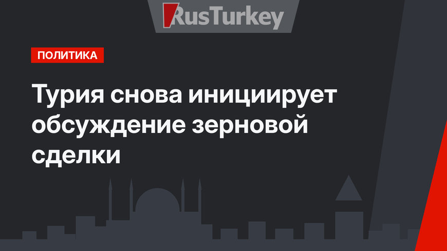 Турия снова инициирует обсуждение зерновой сделки