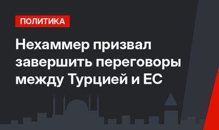 Нехаммер призвал завершить переговоры между Турцией и ЕС