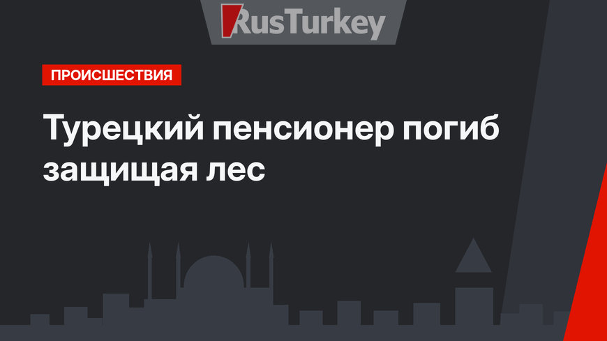 Турецкий пенсионер погиб защищая лес