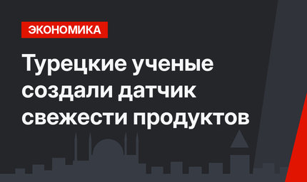 Турецкие ученые создали датчик свежести продуктов