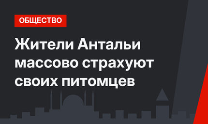 Жители Антальи массово страхуют своих питомцев