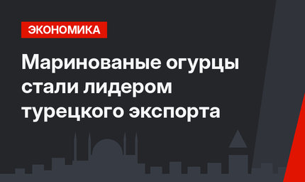 Маринованые огурцы стали лидером турецкого экспорта