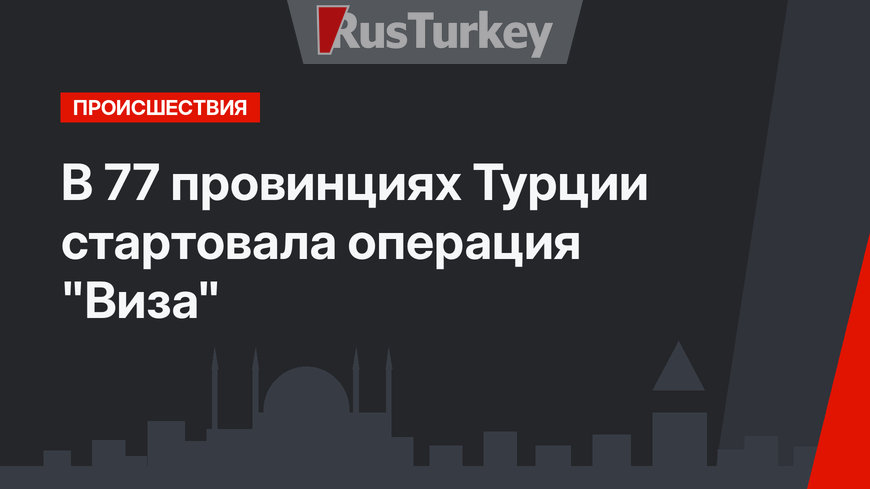 В 77 провинциях Турции стартовала операция "Виза"