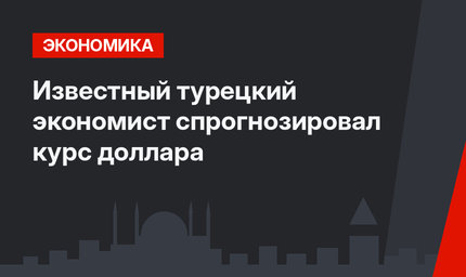 Известный турецкий экономист спрогнозировал курс доллара