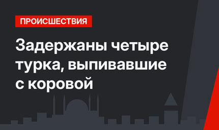 Задержаны четыре турка, выпивавшие с коровой