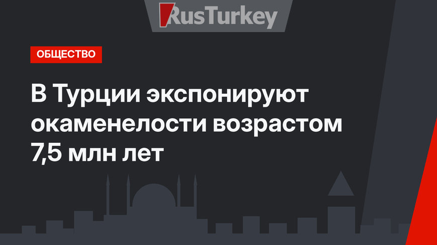 В Турции экспонируют окаменелости возрастом 7,5 млн лет