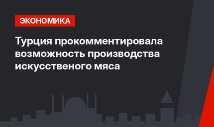 Турция прокомментировала возможность производства искусственого мяса
