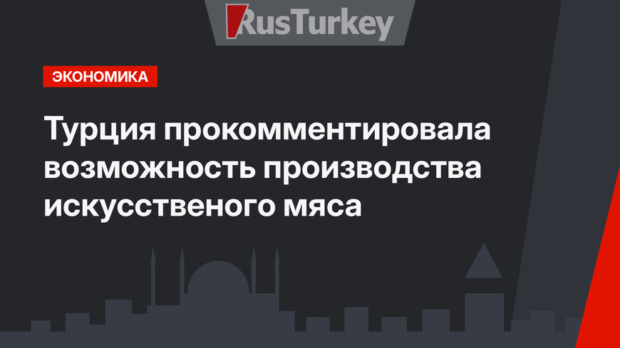 Турция прокомментировала возможность производства искусственого мяса