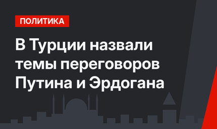 В Турции назвали темы переговоров Путина и Эрдогана