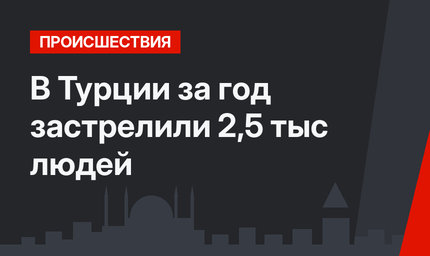 В Турции за год застрелили 2,5 тыс людей