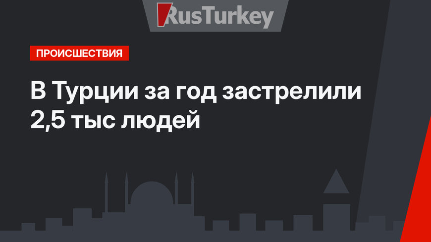 В Турции за год застрелили 2,5 тыс людей