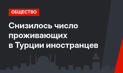 Снизилось число проживающих в Турции иностранцев