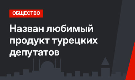 Назван любимый продукт турецких депутатов