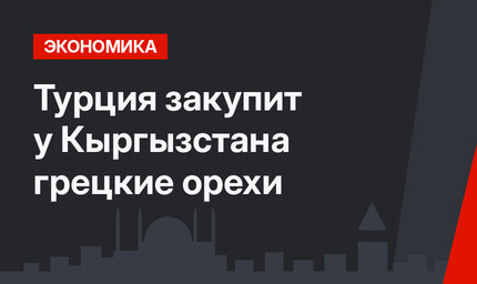 Турция закупит у Кыргызстана грецкие орехи