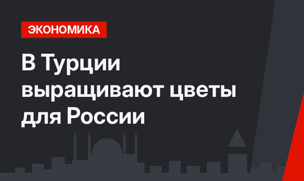 В Турции выращивают цветы для России