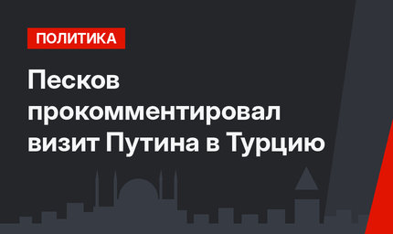 Песков прокомментировал визит Путина в Турцию