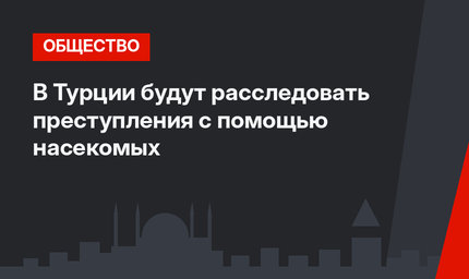 В Турции будут расследовать преступления  с помощью насекомых