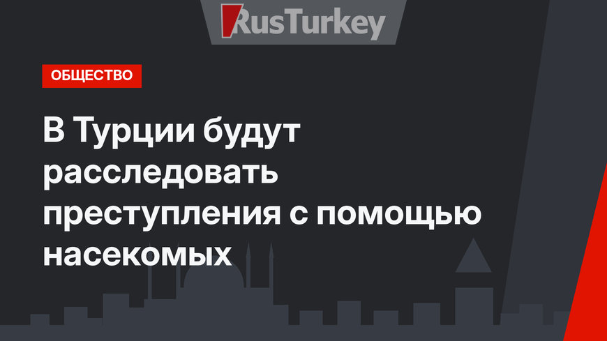 В Турции будут расследовать преступления  с помощью насекомых