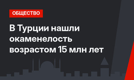 В Турции нашли окаменелость возрастом 15 млн лет