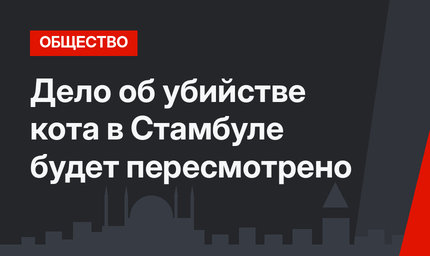 Дело об убийстве кота в Стамбуле будет пересмотрено