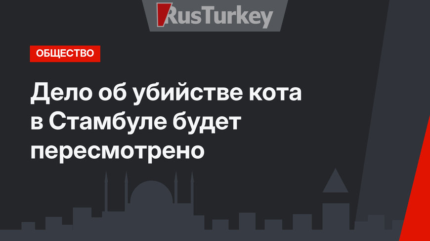 Дело об убийстве кота в Стамбуле будет пересмотрено