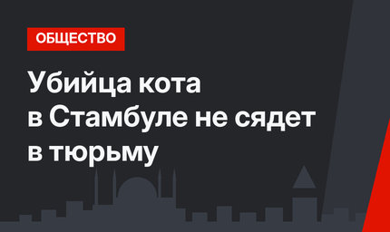 Убийца кота в Стамбуле не сядет в тюрьму