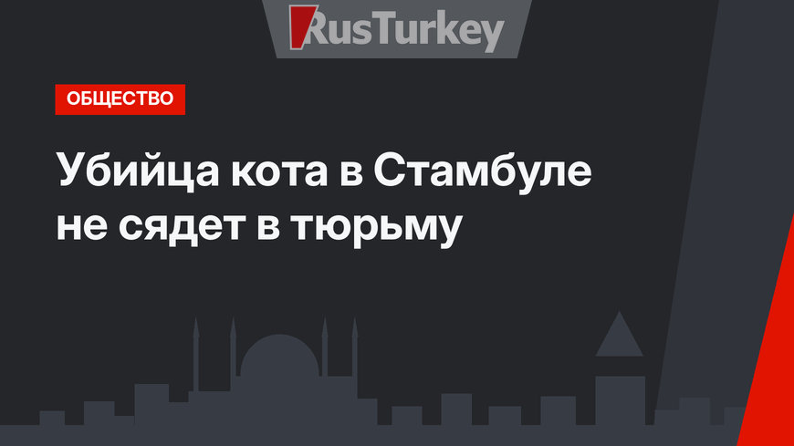 Убийца кота в Стамбуле не сядет в тюрьму