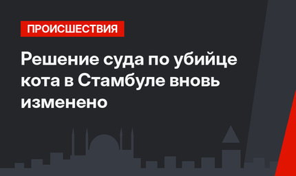 Решение суда по убийце кота в Стамбуле вновь изменено