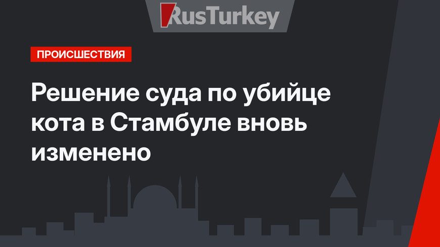 Решение суда по убийце кота в Стамбуле вновь изменено