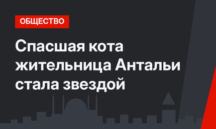 Спасшая кота жительница Антальи стала звездой