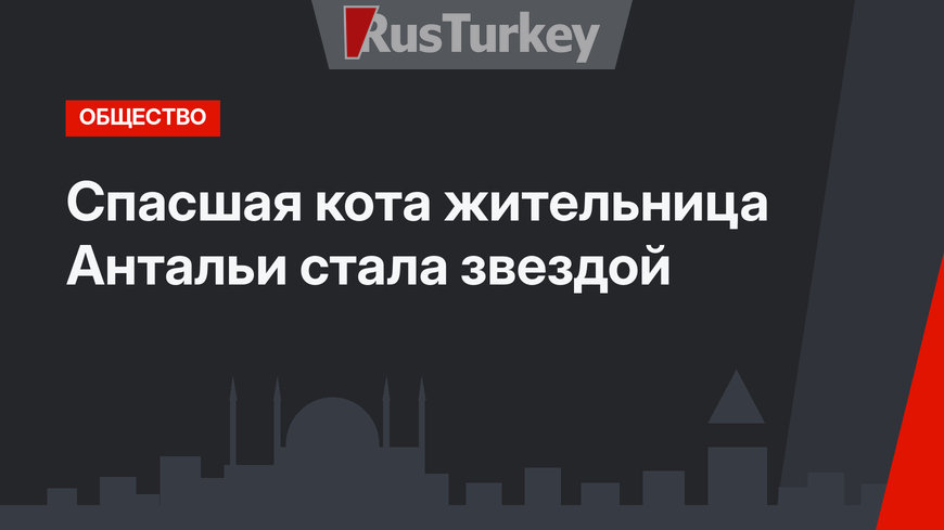 Спасшая кота жительница Антальи стала звездой