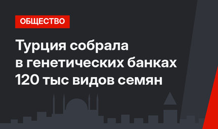 Турция собрала в генетических банках 120 тыс видов семян