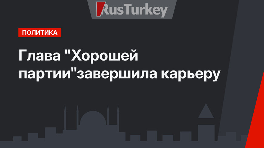 Глава "Хорошей партии"завершила карьеру