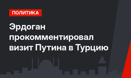 Эрдоган прокомментировал визит Путина в Турцию