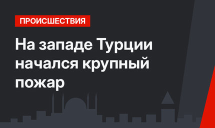 На западе Турции начался крупный пожар