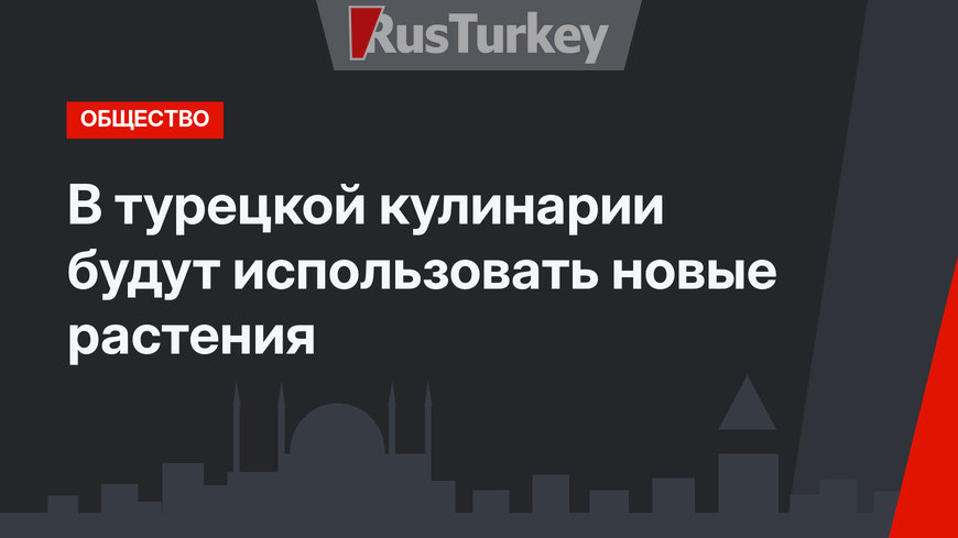 В турецкой кулинарии будут использовать новые растения