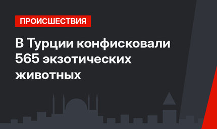 В Турции конфисковали 565 экзотических животных