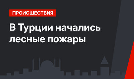 В Турции начались лесные пожары