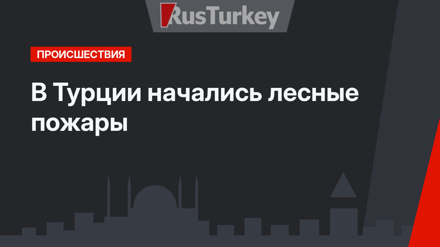 В Турции начались лесные пожары
