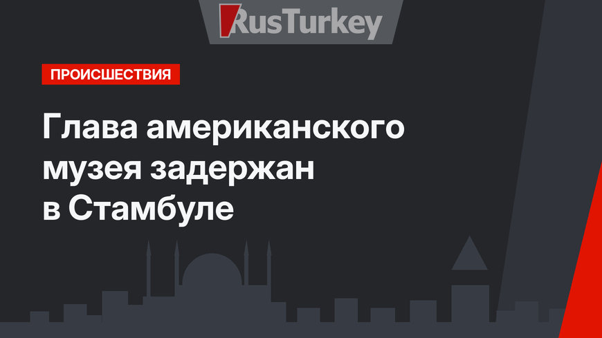 Глава американского музея задержан в Стамбуле
