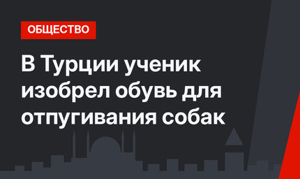 В Турции ученик изобрел обувь для отпугивания собак