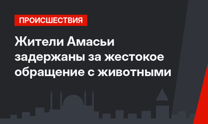 Жители Амасьи задержаны за жестокое обращение с животными