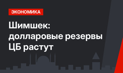 Шимшек: долларовые резервы ЦБ растут
