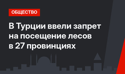 В Турции ввели запрет на посещение лесов в 27 провинциях