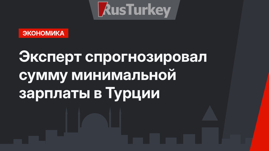 Эксперт спрогнозировал сумму минимальной зарплаты в Турции