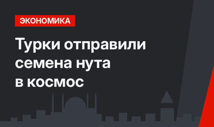 Турки отправили семена нута в космос